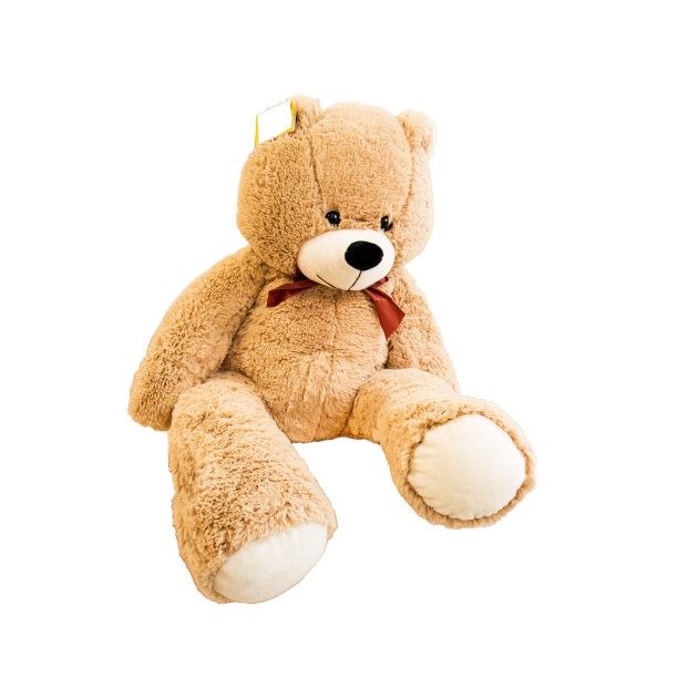 熊毛绒玩具与价格标签的耳朵隔离图片下载