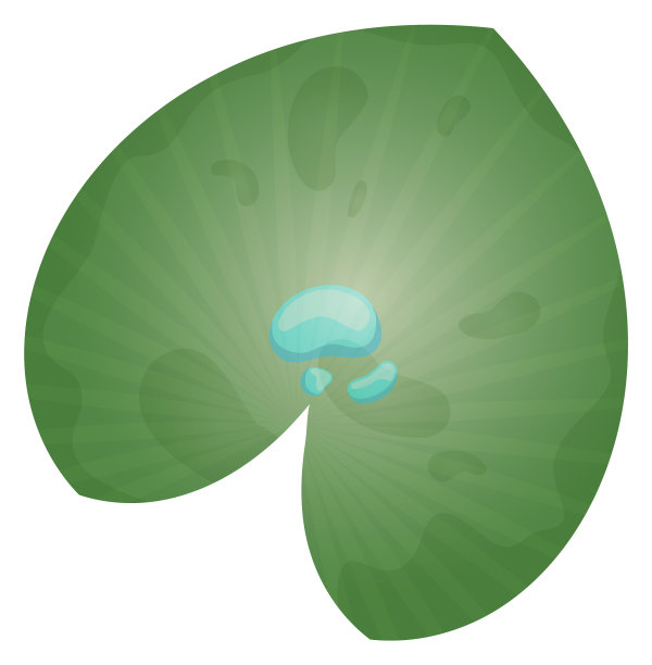 绿色的叶子。水植物叶子俯视图图片下载