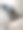 一只黑色的狗躺下玩玩具，库存照片图片下载