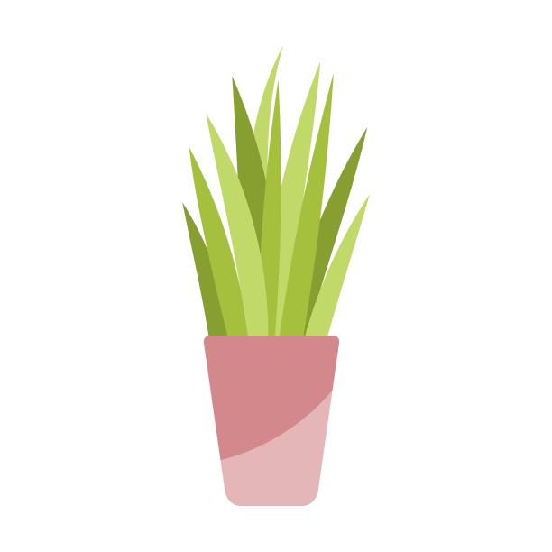 带绿色室内植物的花盆。现代住宅或办公家具卡通矢量插图。设计元素，沙发，桌子，椅子为家庭，卧室或客厅图片下载