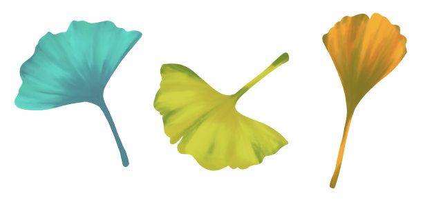 搭配彩色银杏叶。图片下载