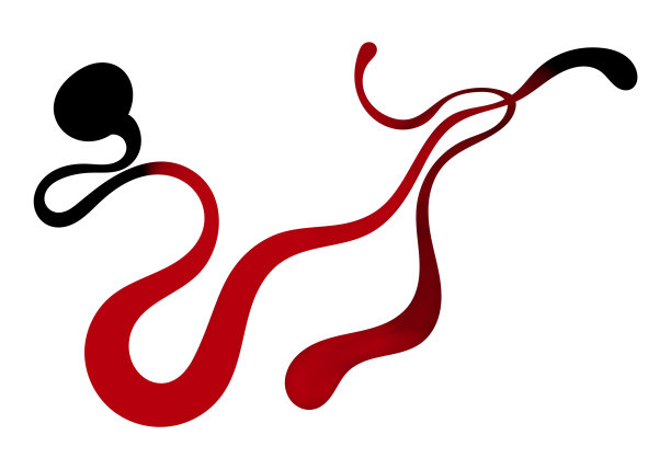 鸡球虫病，家禽肠线艺术蛇风格。病变的插图图片下载