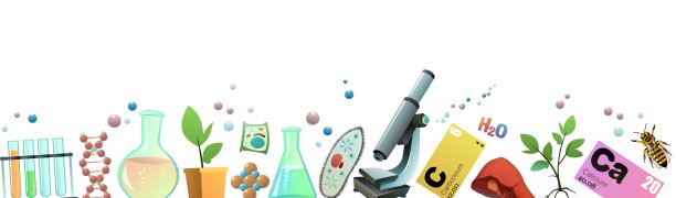 化学。无缝底部边框。卡通风格。科学项目图片。植物、动物和人类活细胞的研究。孤立的白色背景。向量。图片下载