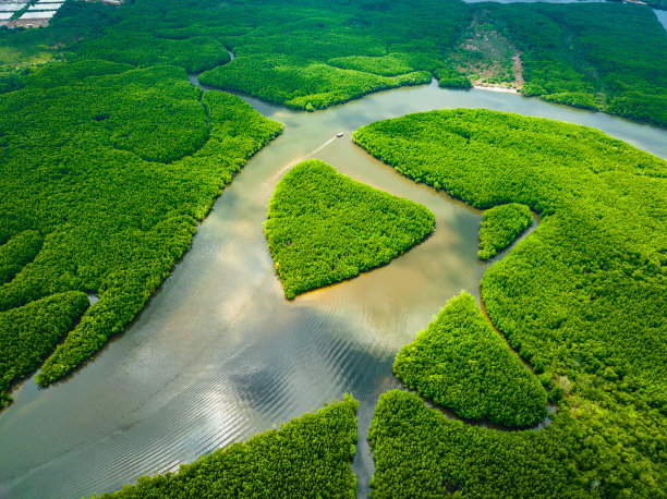 位于泰国庄的Khao Chom Pa海红树林观景点的心形岛图片下载