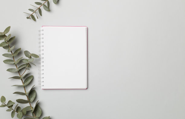 笔记本与美丽的桉树树枝上的彩色背景，顶视图图片下载