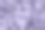 2023年度数字薰衣草色。紫紫丁香(丁香)花。照片采用了2023年的潮流色彩。图片下载