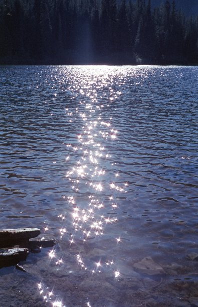 镜湖闪闪发光图片下载