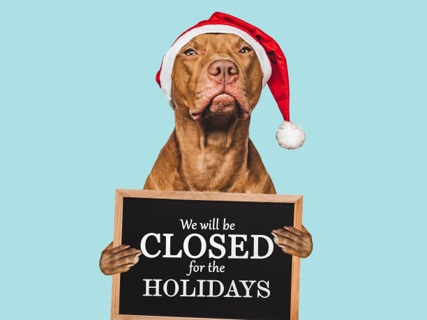 我们放假图片下载