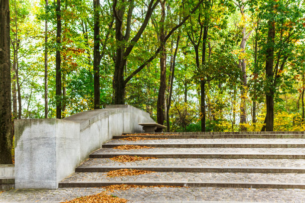 华盛顿特区西奥多·罗斯福岛的石阶和桥图片下载