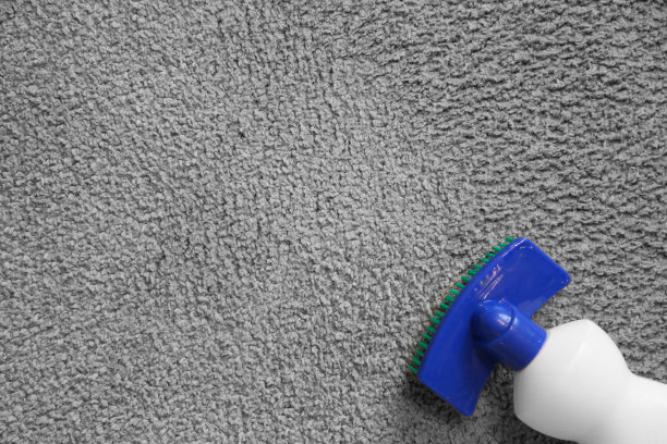 灰色地毯上的地毯清洁剂。食物渍，狗渍，孩子渍。处理污渍和清洁你的家图片下载