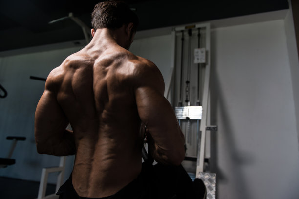 年轻男子做重重量运动的背部图片下载