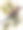 杰伊鸟19世纪彩色插图图片下载