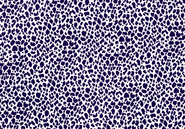 斑点狗的皮肤质地。图片下载