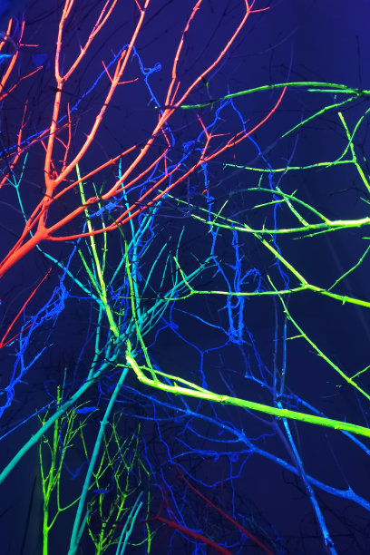 霓虹灯下光秃秃的树枝。抽象的背景图片下载