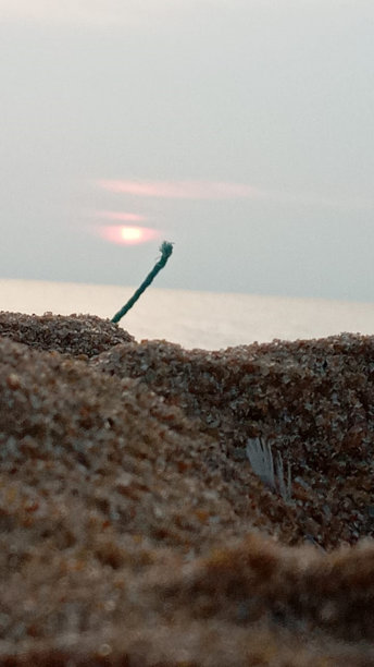 海滩摄影图片下载