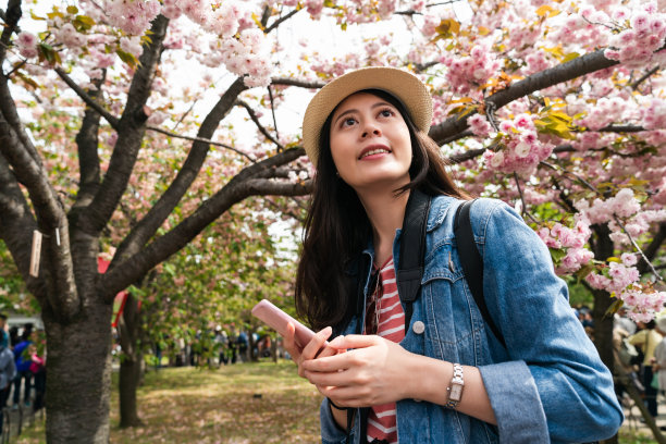 春天的日本大阪，兴高采烈的亚洲女游客拿着手机，在薄荷博物馆的花园里欣赏头顶上的粉色樱花图片下载