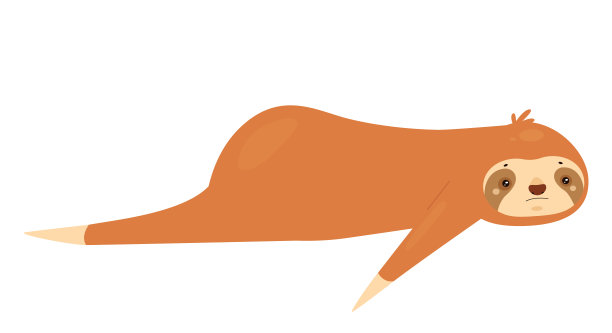 躺下的树懒动物图片下载