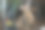 可爱的家养虎斑猫和小圣诞树。特写图片。动物和特殊节日图片下载