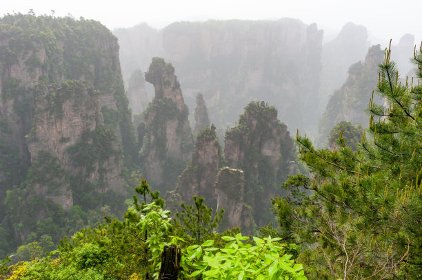 中国湖南省武陵源区张家界国家森林公园图片下载