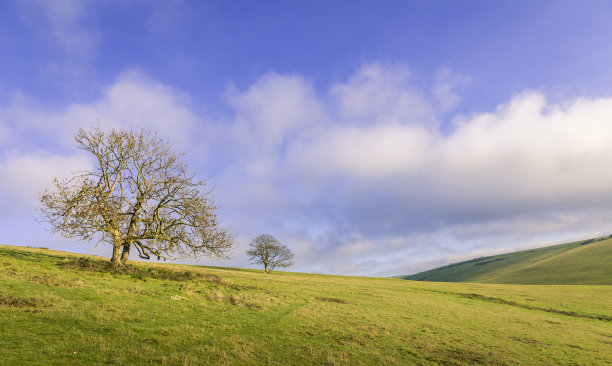 南唐斯东迪恩东苏塞克斯图片下载