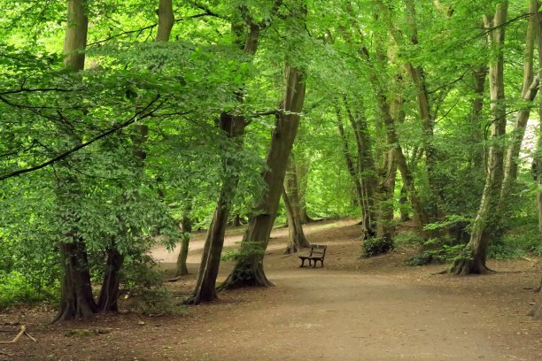 海格特木图片下载