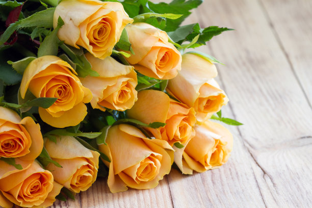 浪漫的茶玫瑰在木制背景图片下载