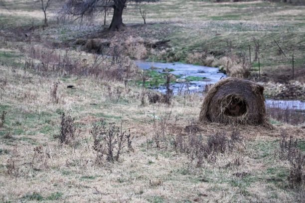 在一片被干草覆盖的田野里，靠近小溪的干草正在分解图片下载