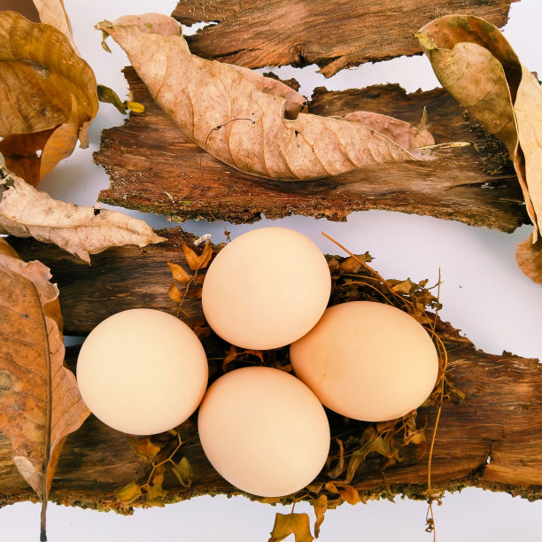 鸡蛋图片下载