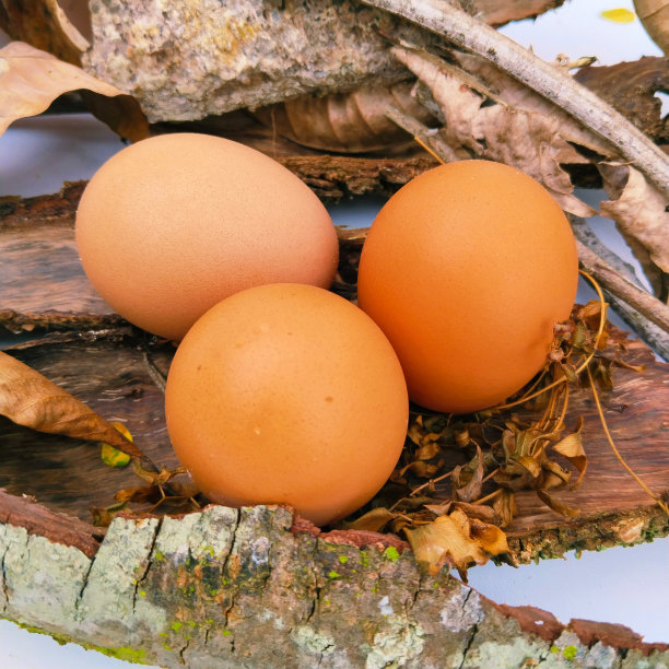鸡蛋图片下载