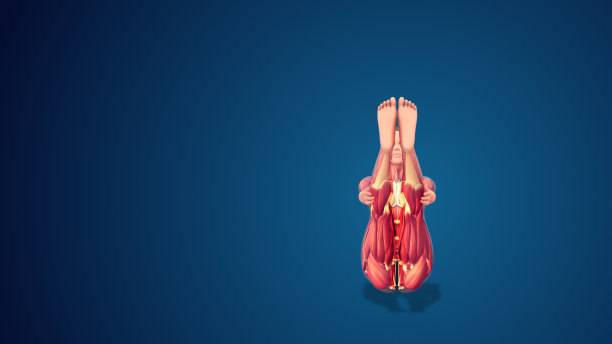 蓝色背景的3D人体纳瓦式或船瑜伽姿势图片下载