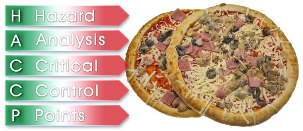 HACCP -危害分析和关键控制点-食品安全和食品工业的质量控制
工业冷冻意大利披萨的概念图片下载