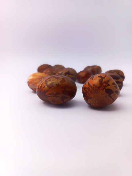 白色背景上的橡胶种子的特写图片下载