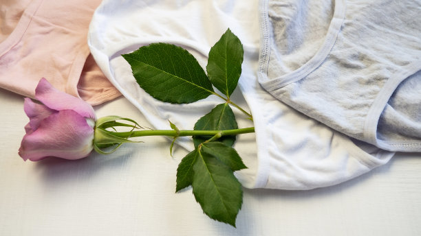 女裤。一套彩色的纯棉经典内裤。特写镜头。内衣。女人的裤子。图片下载