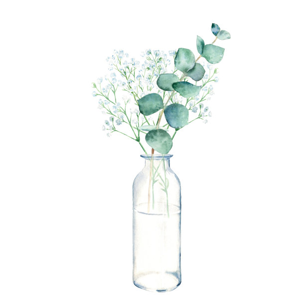 花瓶，瓶子，罐子里的桉树和石膏树枝。水彩手绘植物插图孤立在白色背景。生态简约风格的贺卡，海报。图片下载