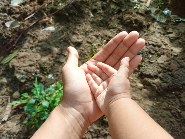 宝宝手握妈妈的手图片下载