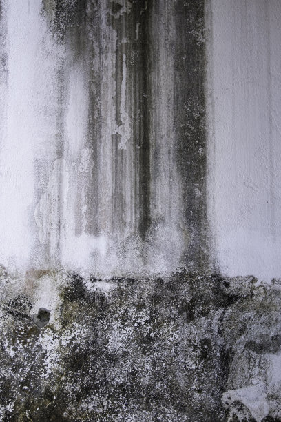 老旧的白色混凝土墙，上面有黑色的斑纹图片下载