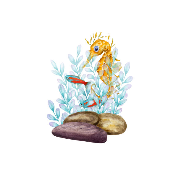 水彩插图一组海洋动物孤立在白色背景。海马，海产，石头，珊瑚，海藻，植物，水，海，海洋。印花设计海报面料装饰图片下载