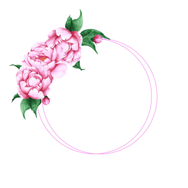 手绘水彩画粉红色牡丹花、叶、芽组成，白色背景为圆框板。剪贴簿设计，婚礼卡片和请柬，标签，横幅，明信片。图片下载