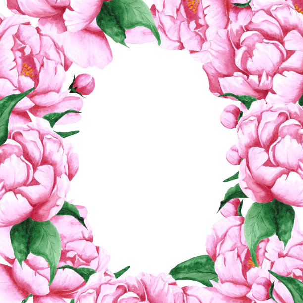 手绘水彩画粉色牡丹花框与绿色的叶和芽在白色的背景。剪贴簿设计，婚礼卡片和请柬，标签，横幅，明信片。图片下载