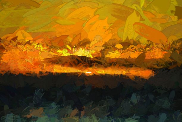 新西兰卡皮提岛的抽象日落图片下载