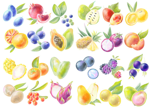 大集合简单的设计元素标志和图标集浆果和水果热带木瓜可食用的白色背景水彩风格印刷和包装食品和化妆品图片下载