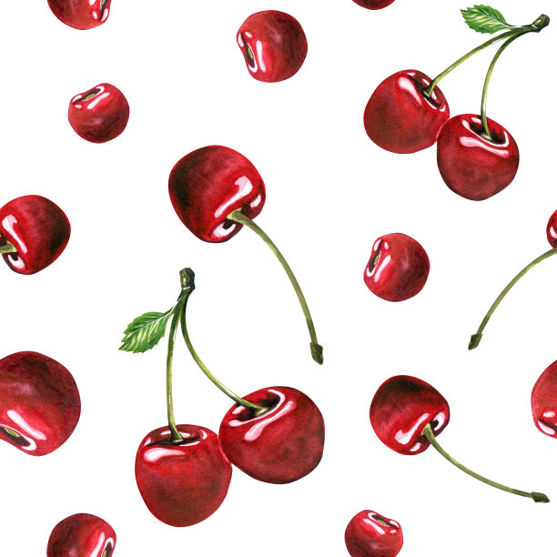 白色背景上不同的樱桃。水彩插图。无缝模式从海滩酒吧集合。用于菜单、包装、纸张、织物、纺织品的装饰和设计。图片下载