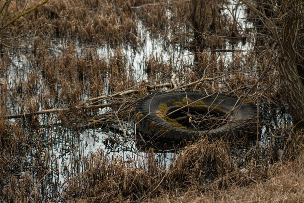 大量的汽车垃圾被非法倾倒在大自然中图片下载