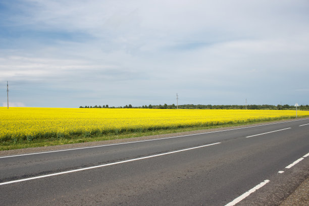 油菜田附近的高速公路图片下载