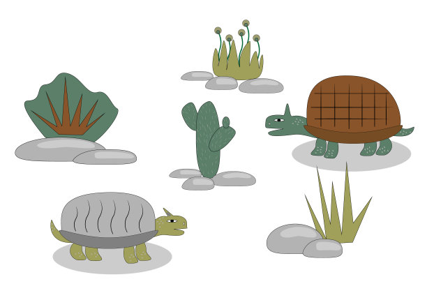 与有趣的乌龟和植物无缝模式。孩子向量图片下载
