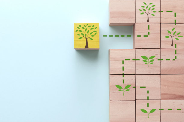 碳足迹树生长概念图片下载