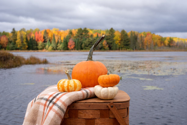 秋天野餐篮子上的南瓜和格纹毯子图片下载