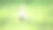 小兔子站在绿色的草地上，背景是自然的夏天在日落的时候。图片下载