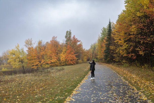 成熟的女人在秋天森林里的乡间小路上拍照图片下载