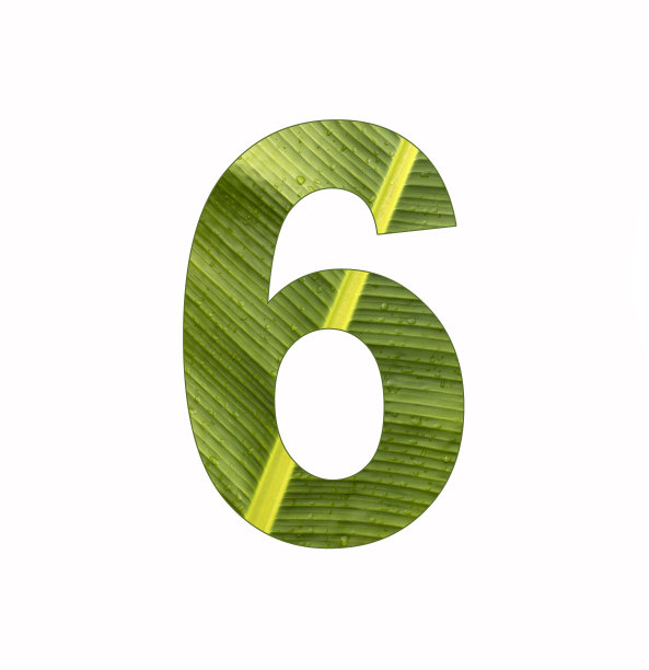 数字6，香蕉植物叶子背景的数字图片下载